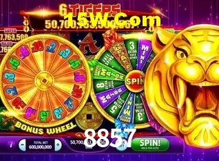 Recursos de Bônus 8857